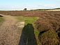 Guest house 031548 • Bungalow Terschelling • Glissando  • 14 of 14