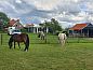 Guest house 260230 • Holiday property Het Friese platteland • Vakantiehuisje in Elsloo  • 3 of 12