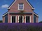 Guest house 2613311 • Holiday property Het Friese platteland • Vakantiehuis in Witmarsum  • 1 of 26