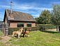 Guest house 434003 • Holiday property Noordoost Brabant • Alpacafarm Vorstenbosch  • 2 of 26