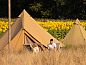 Verblijf 524649 • Tenthuis Twente • Pop-up glamping: Buurvrouws' Belltentje | 2-4 personen  • 1 van 17