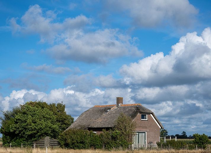 Unterkunft 010329 • Ferienhaus Texel • Vakantiehuis Riet 