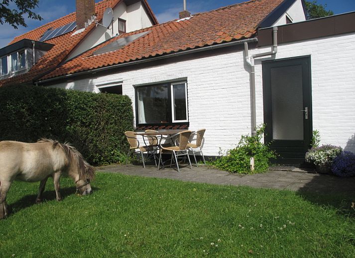 Unterkunft 0113194 • Ferienhaus Texel • Swalefie 