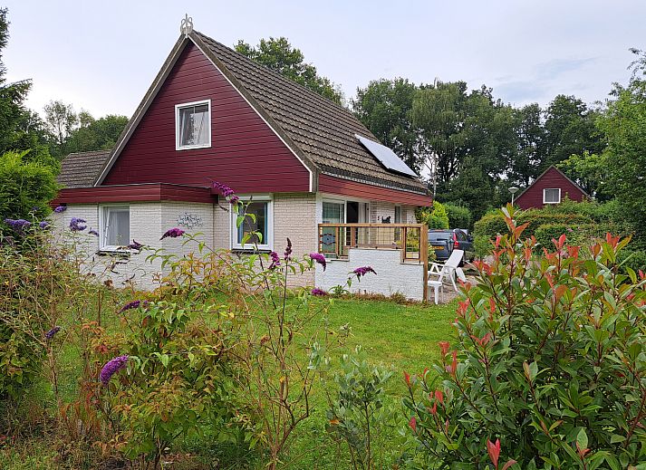 Guest house 231520 • Holiday property Friese bossen • Comfortabele 4-persoons bungalow met ruime tuin in Boijl, 