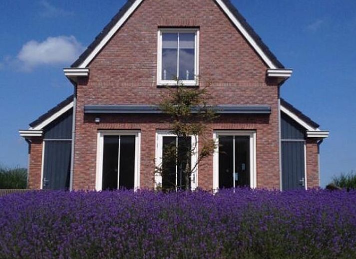 Guest house 2613311 • Holiday property Het Friese platteland • Vakantiehuis in Witmarsum 