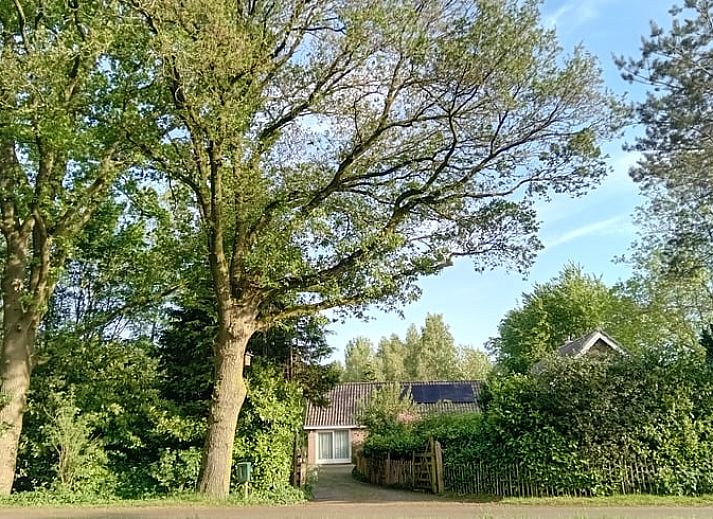 Unterkunft 2618701 • Ferienhaus Het Friese platteland • Vakantiehuisje in Hemrik 