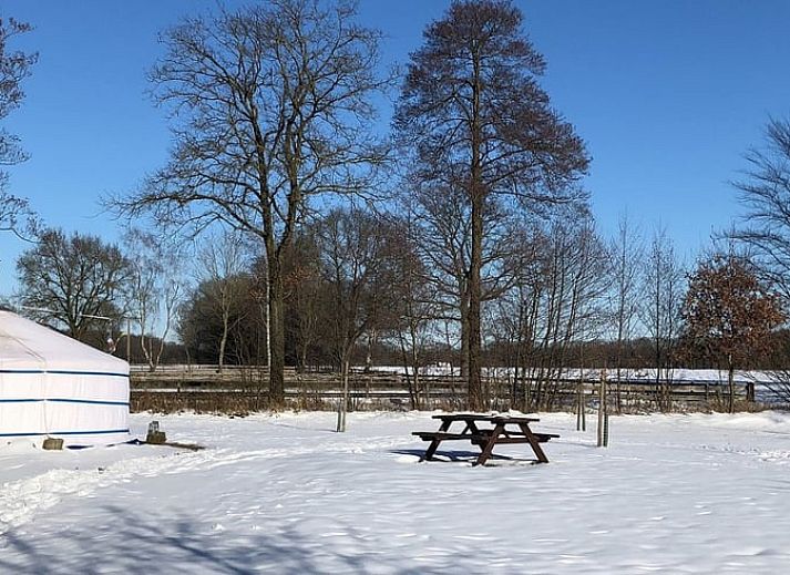 Unterkunft 293412 • Ferienhaus Achterhoek • Vakantiehuis in Geesteren Gelderland 