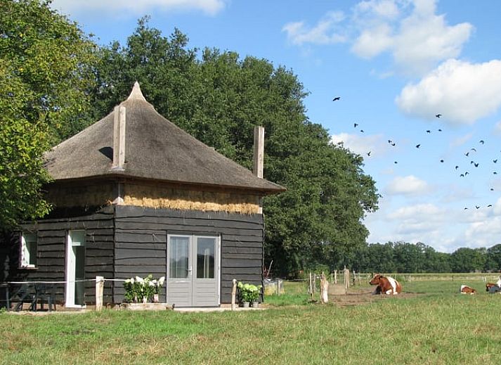 Verblijf 293413 • Vakantiewoning Achterhoek • Huisje in Geesteren Gld 