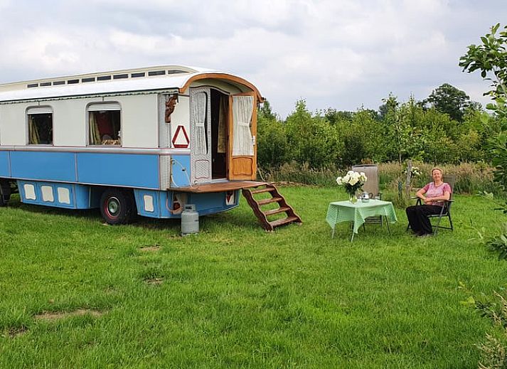 Unterkunft 300809 • Ferienhaus Gelderse vallei • Vakantiehuis in Empe 