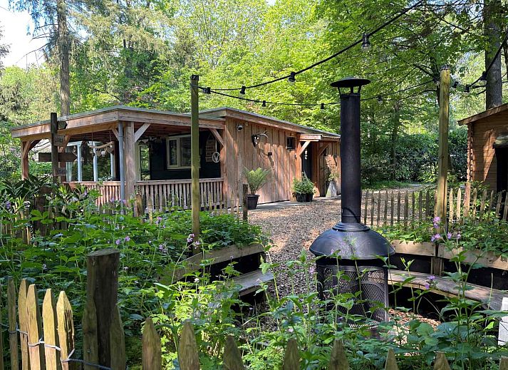 Guest house 3208105 • Holiday property Veluwe • Een sfeervolle 4-persoons boslodge met veranda en zit-kuil 