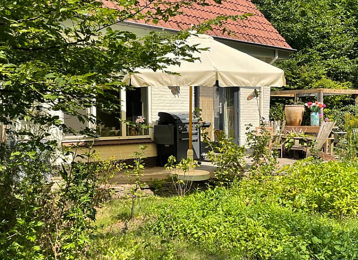 Guest house 320863 • Holiday property Veluwe • Huisje in Emst 