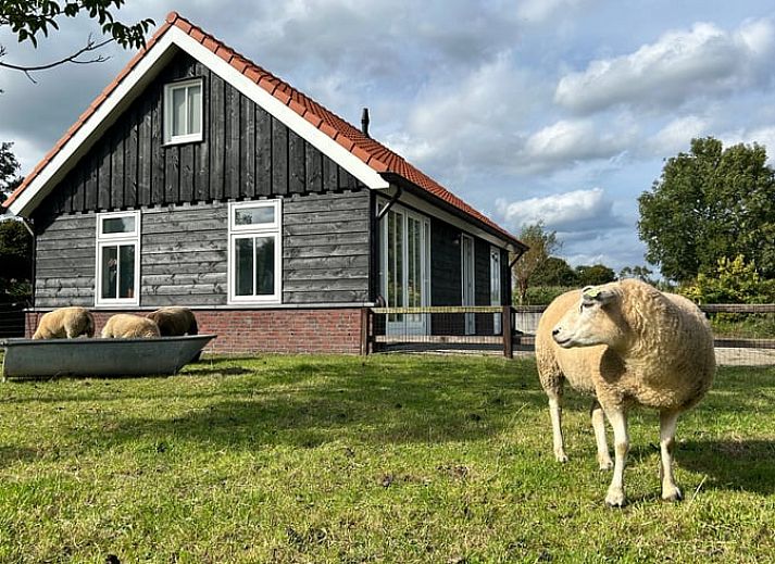 Verblijf 320887 • Vakantiewoning Veluwe • Huisje in Emst 