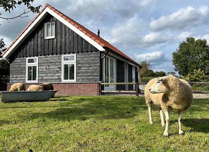 Verblijf 320888 • Vakantiewoning Veluwe • Huisje in Emst 