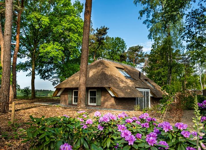 Verblijf 322094 • Vakantiewoning Veluwe • Vakantiehuisje in Putten 