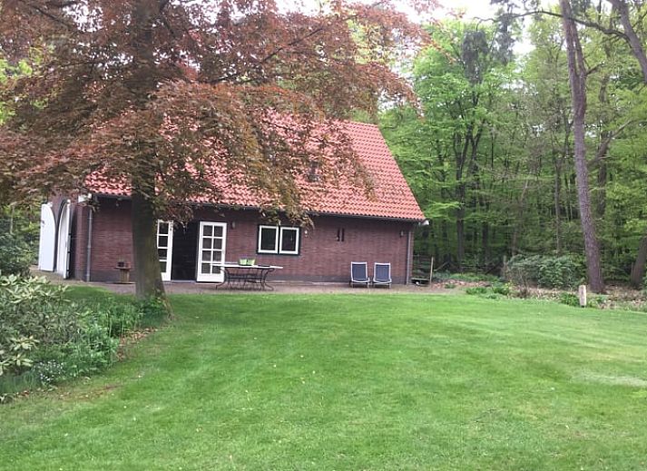 Guest house 324208 • Holiday property Veluwe • Vakantiehuisje in Hattem 