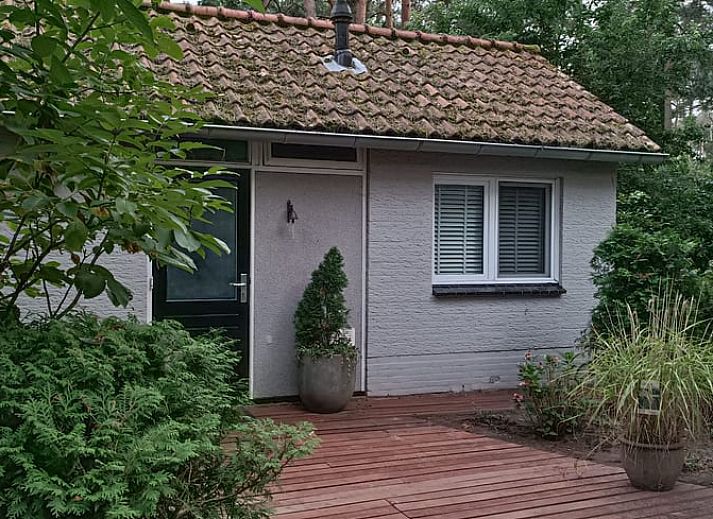 Guest house 374127 • Holiday property Midden Limburg • Vakantiehuis in Meijel 