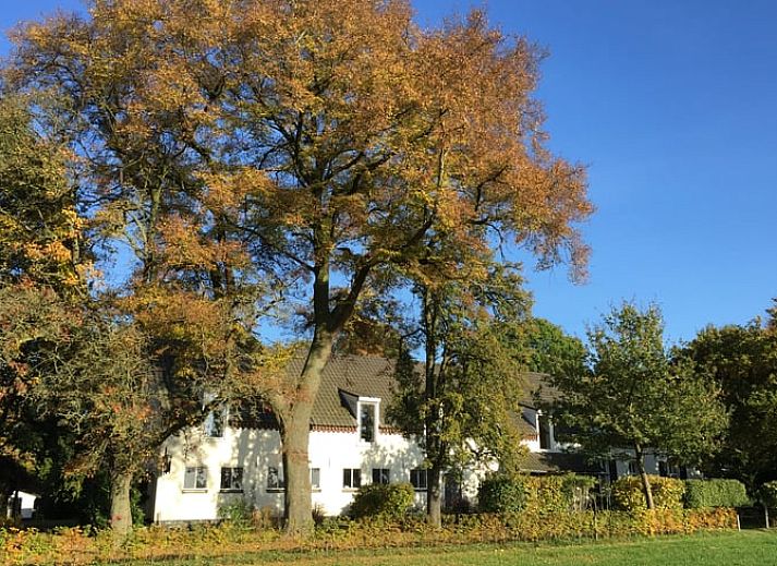 Unterkunft 375101 • Ferienhaus Midden Limburg • Vakantiehuis in Haler 