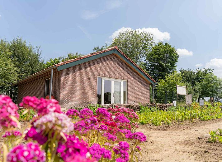 Unterkunft 384607 • Ferienhaus Noord Limburg • Natuurrijk gelegen 5 persoons vakantiehuis nabij het bos en 