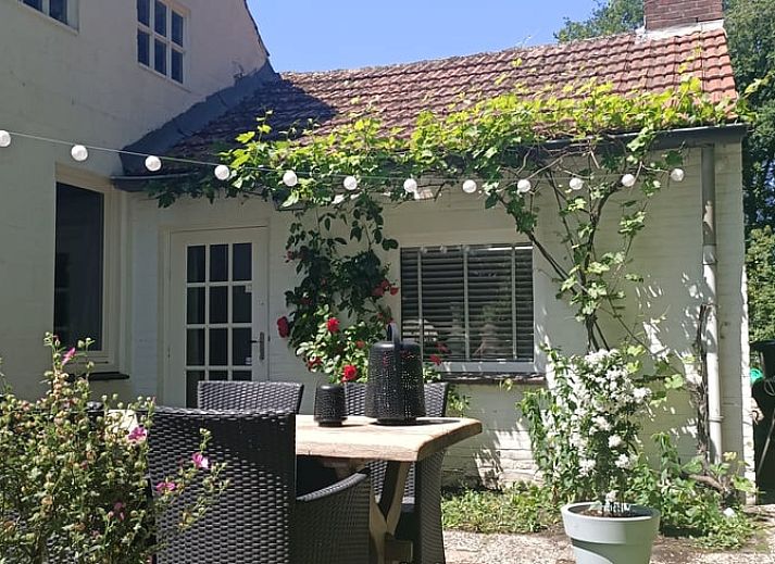 Guest house 385805 • Holiday property Noord Limburg • Huisje in Heythuysen 