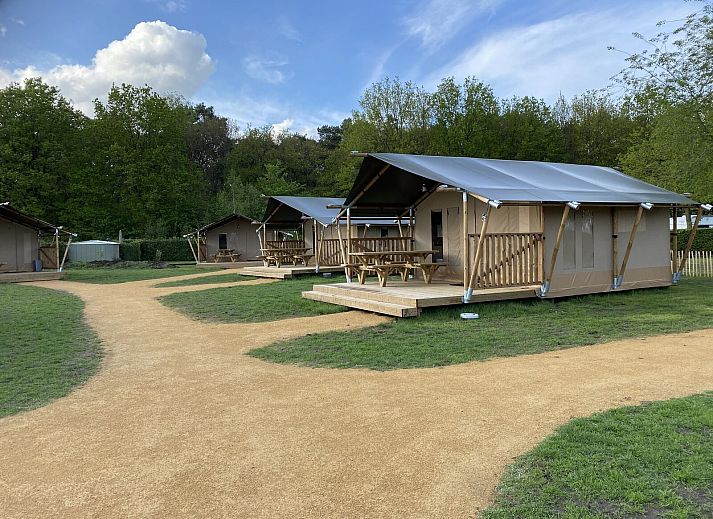 Unterkunft 420620 • Zelthaus Hart van Brabant • Glamping Deluxe 5p. type 2 