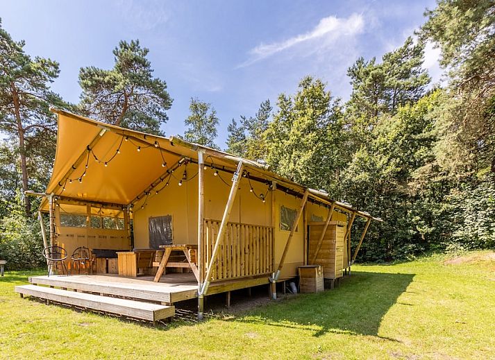 Guest house 442139 • Tent house West Brabant • Safaritent 6 