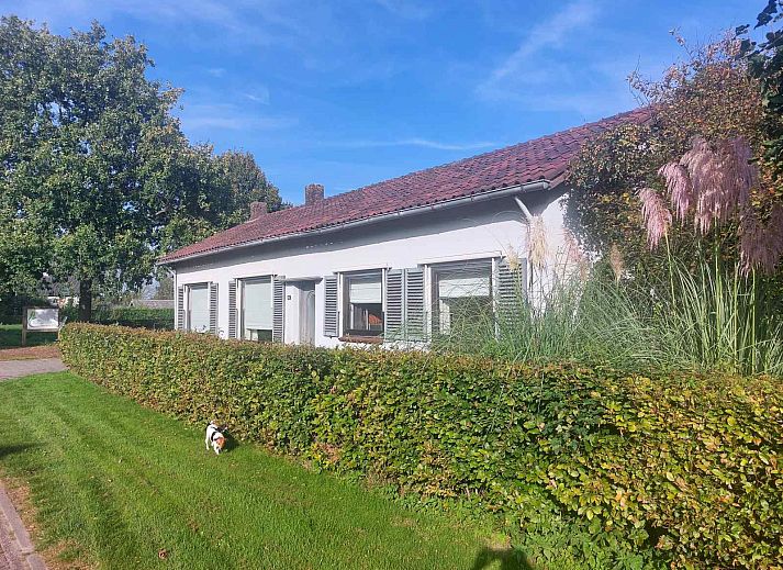 Guest house 443025 • Holiday property West Brabant • Een sfeervol 7-persoons vakantiehuis in Hoeven, 