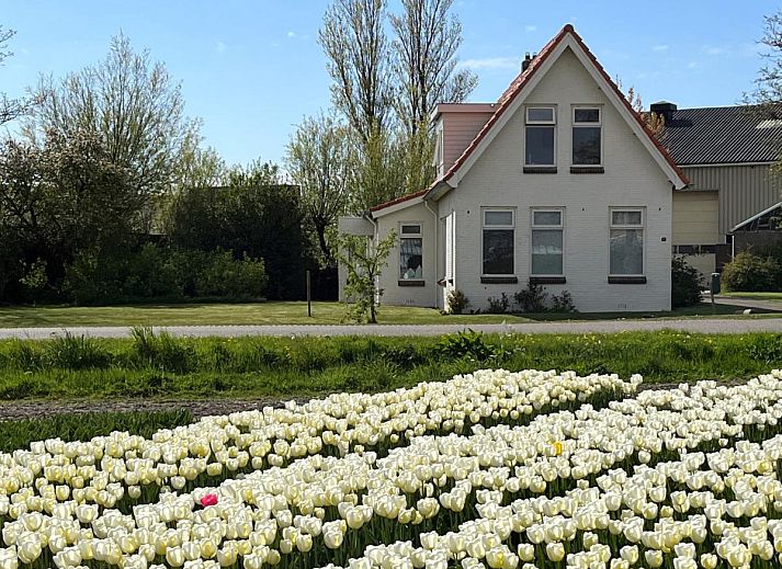 Verblijf 450235 • Vakantiewoning Noordzeekust • Bollenzicht 