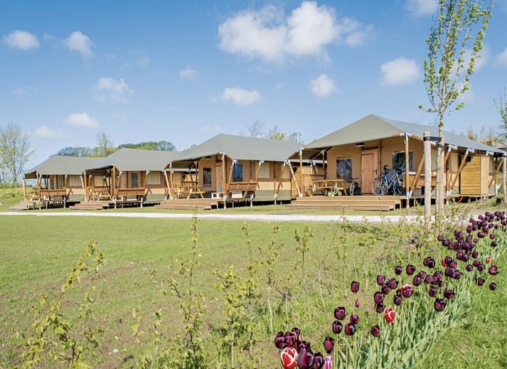 Unterkunft 470719 • Zelthaus Waddenkust • Glamping Lodge 