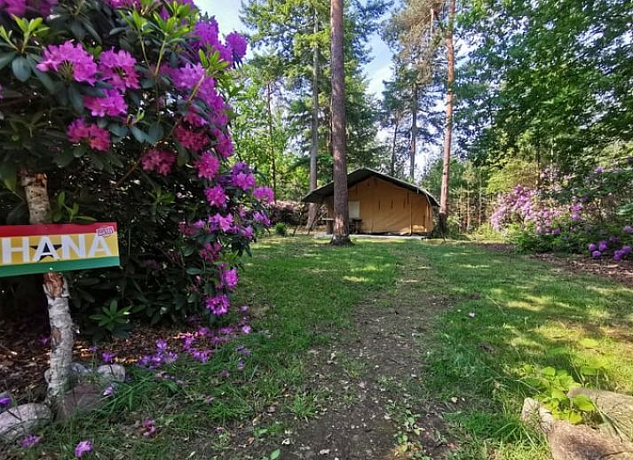 Verblijf 5302129 • Vakantiewoning Salland • Huisje in Holten 