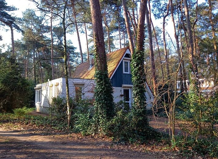 Unterkunft 540131 • Ferienhaus Vechtstreek • Huisje in Ommen 