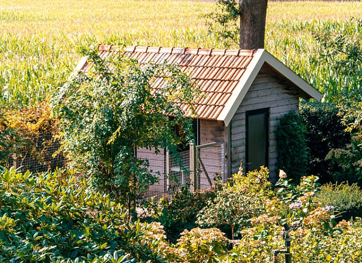 Unterkunft 542913 • Ferienhaus Vechtstreek • Huisje in Bruchterveld 