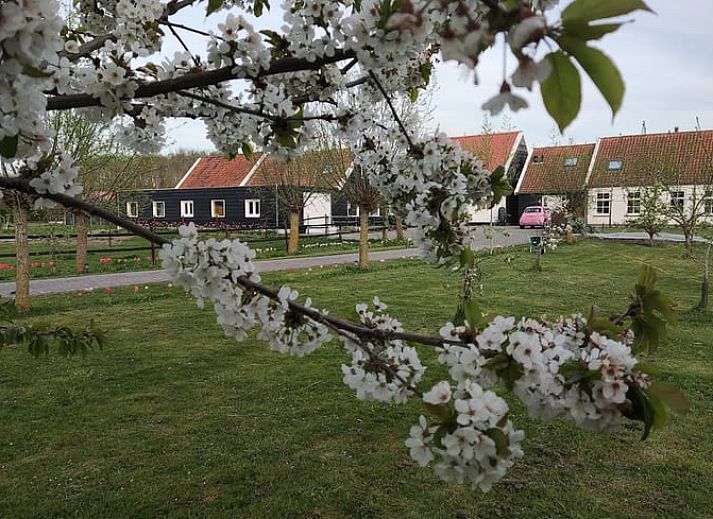 Verblijf 603105 • Bed and breakfast Schouwen-Duiveland • Huisje in Noordgouwe 