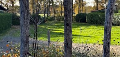 Verblijf 410857 - Bungalow Kempen - Bungalow 353