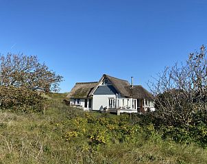 Unterkunft 040613 • Ferienhaus Ameland • Friesland 