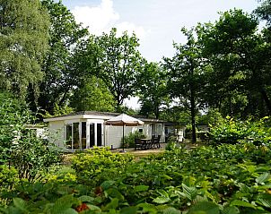 Exclusif 6 Ferienhaus in Arnheim, Gelderland, umgeben von grner Natur und einer sonnigen Terrasse im Rivierengebied.