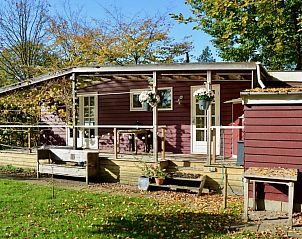 Guest house 291080 • Holiday property Achterhoek • Chalet 45m2 I | 3 personen 