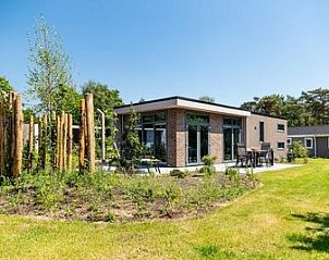 Guest house 320145 • Holiday property Veluwe • Module Limited Edition Electric tekoop