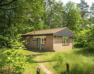 Guest house 320178 • Bungalow Veluwe • Heideheuvel | 4-persoons bungalow | 4B 