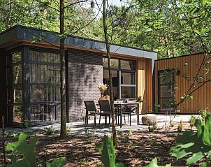 Genieen Sie das moderne L-Cube MIVA 4 Ferienhaus mit Terrasse in der waldreichen Umgebung von Beekbergen, Veluwe, Gelderland.