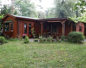 Guest house 320864 • Holiday property Veluwe • Vakantiehuisje in Emst 