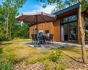 Genieen Sie die sonnige Veranda von Pavillon 4, einem Ferienhaus in Otterlo, Veluwe, umgeben von grner Natur und Ruhe.