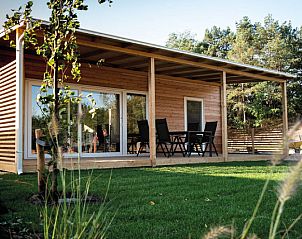 Veranda van Cosy Unique 6 vakantiehuis in Belfeld, Limburg, omgeven door groene natuur en rustgevende omgeving.
