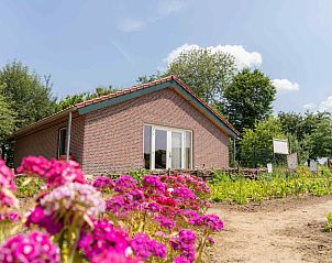 Guest house 384607 • Holiday property Noord Limburg • Natuurrijk gelegen 5 persoons vakantiehuis nabij het bos en 