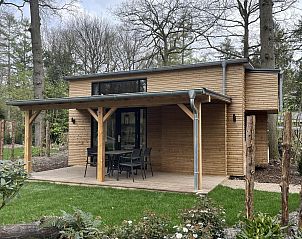 Tiny kids cottage 2+2 in Kaatsheuvel, Noord Brabant, vakantiehuis met houten veranda omringd door natuur in Hart van Brabant.