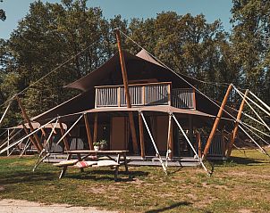 Verblijf 431906 • Tenthuis Noordoost Brabant • Koningslodge met Hottub | 4-8 Pers 