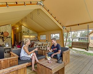 Guest house 431911 • Tent house Noordoost Brabant • Bos Lodge | 4-6 Pers 