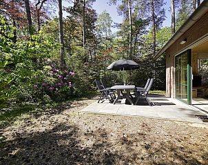 Guest house 524113 • Holiday property Twente • Boshuus Comfort 