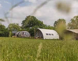 Unterkunft 524634 • Zelthaus Twente • Groepsaccommodatie (6x luxe glampingtent) I 28 personen 