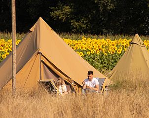 Guest house 524649 • Tent house Twente • Pop-up glamping: Buurvrouws' Belltentje | 2-4 personen 