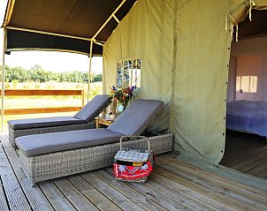 Guest house 525308 • Tent house Twente • Twentse Buitenleven - Familie lodgetent - luxe kamperen 